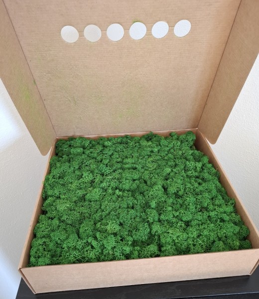 mach, stabilizovany mach, zelenymach, machovna, norsky lisajnik,